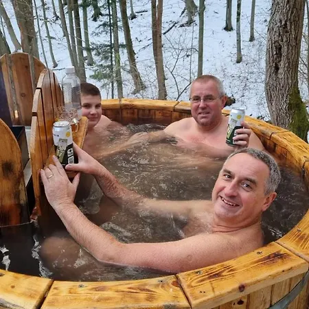 Chalet - Leginashytta Mostenica